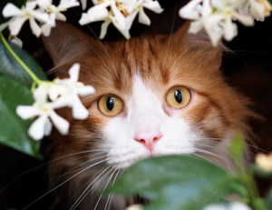 Countdown! | naked capitalism