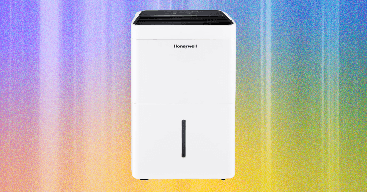7 Best Dehumidifiers for Cool and Dry Home Air (2025)