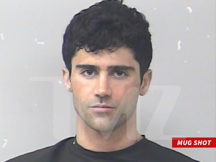 Demi Lovato’s Ex-Fiancé Max Ehrich Allegedly Battered His Mom, Inhaled Nitrous