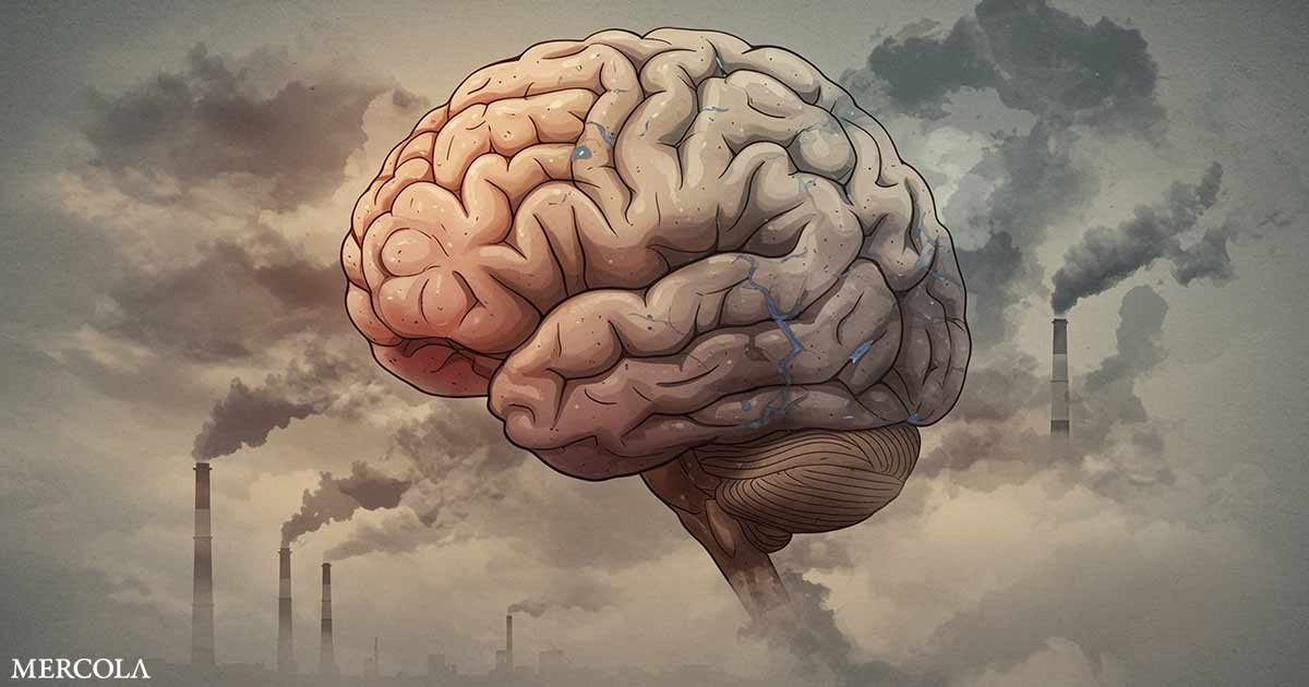 Air Pollution Raises Dementia and Aneurysm Rupture Risk