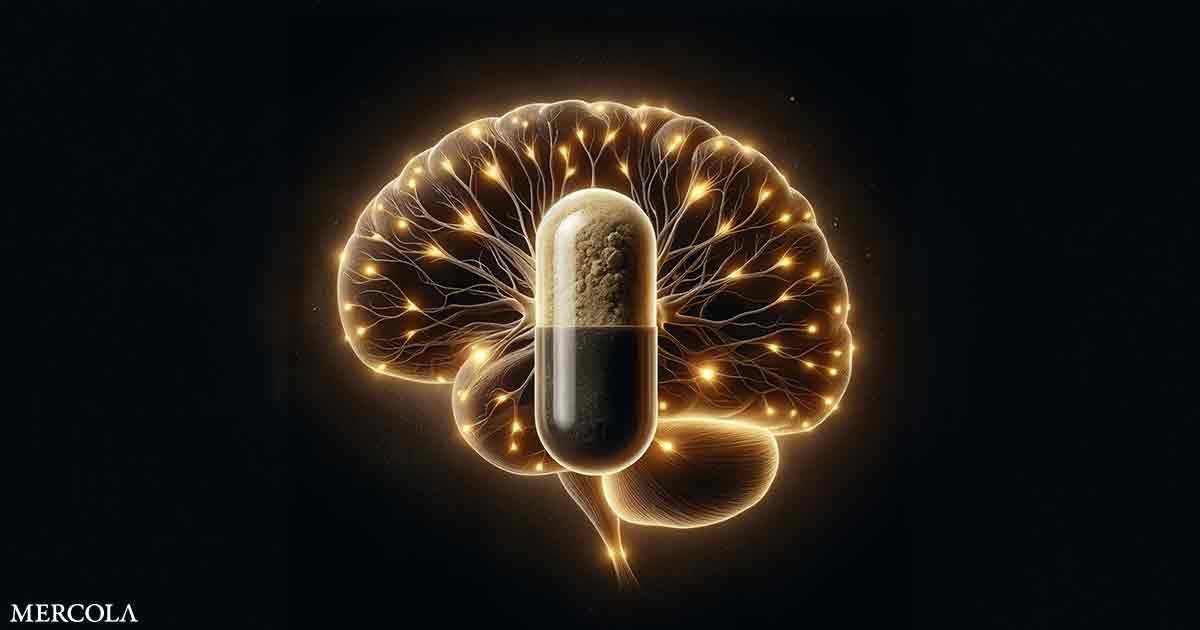 The Great Alzheimer’s Scam and the Proven Cures They’ve Buried for Billions