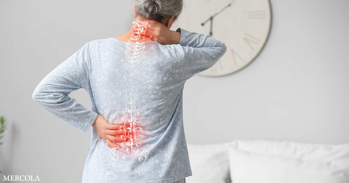 Your Circadian Rhythm Plays a Key Role in Regulating Bone Breakdown and Repair