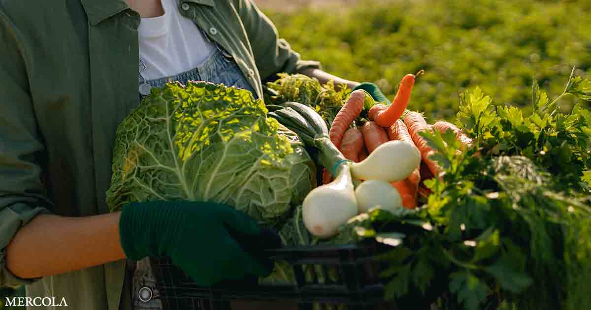 Disease-Resistant Vegetable Varieties That Keep Your Harvest Strong