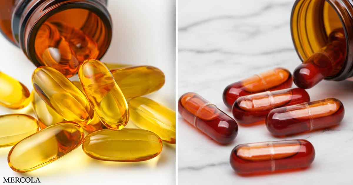 A Closer Look at Omega-3 Absorption — Fish Oil vs. Krill Oil