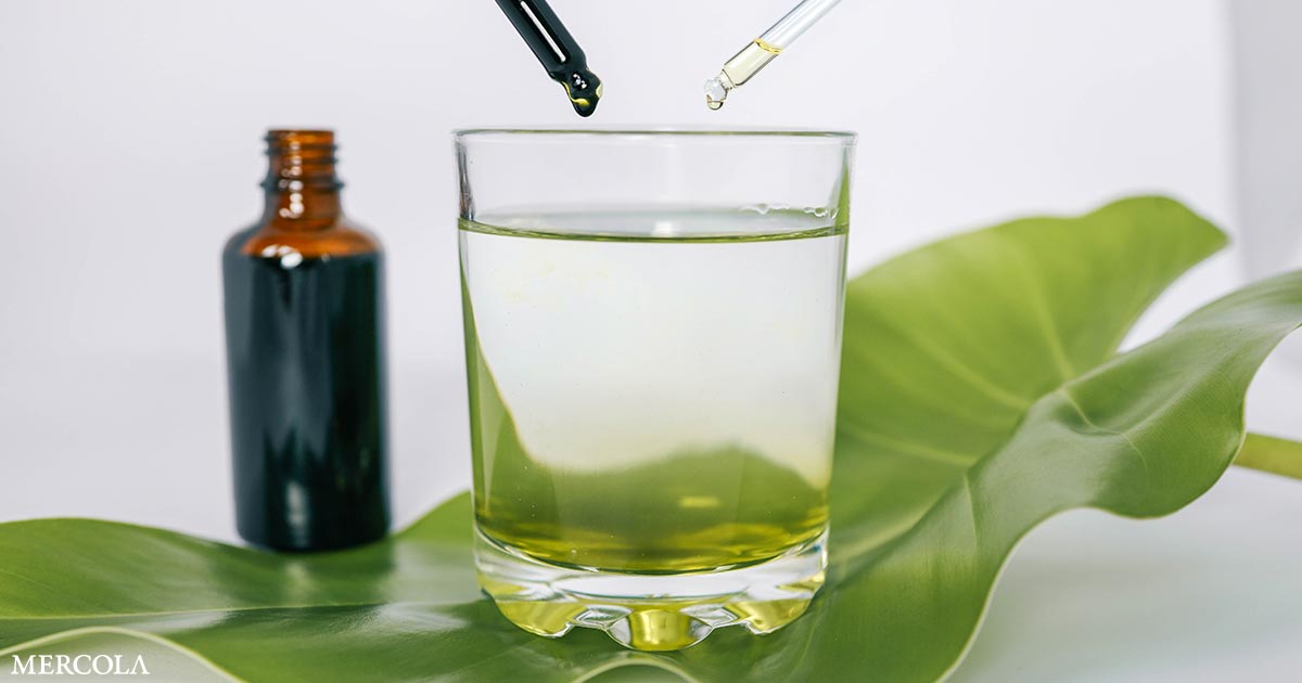 Supercharging Supplements — The Power of Nutraceutical DMSO Combinations