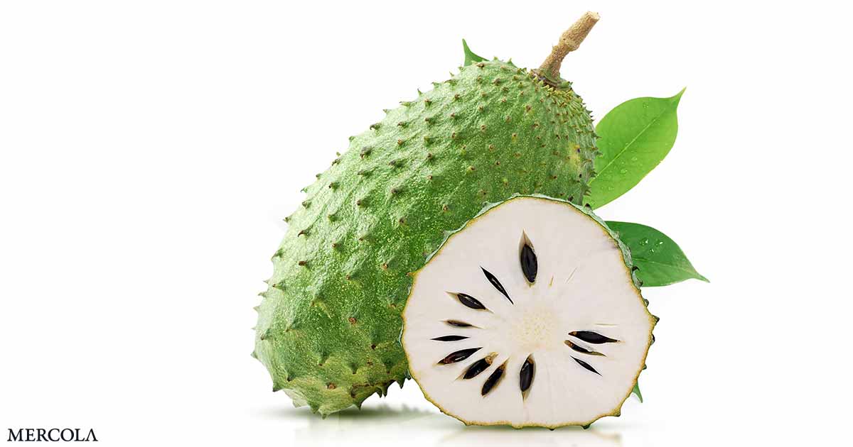 The Health Effects of Eating Soursop Fruit and Tea