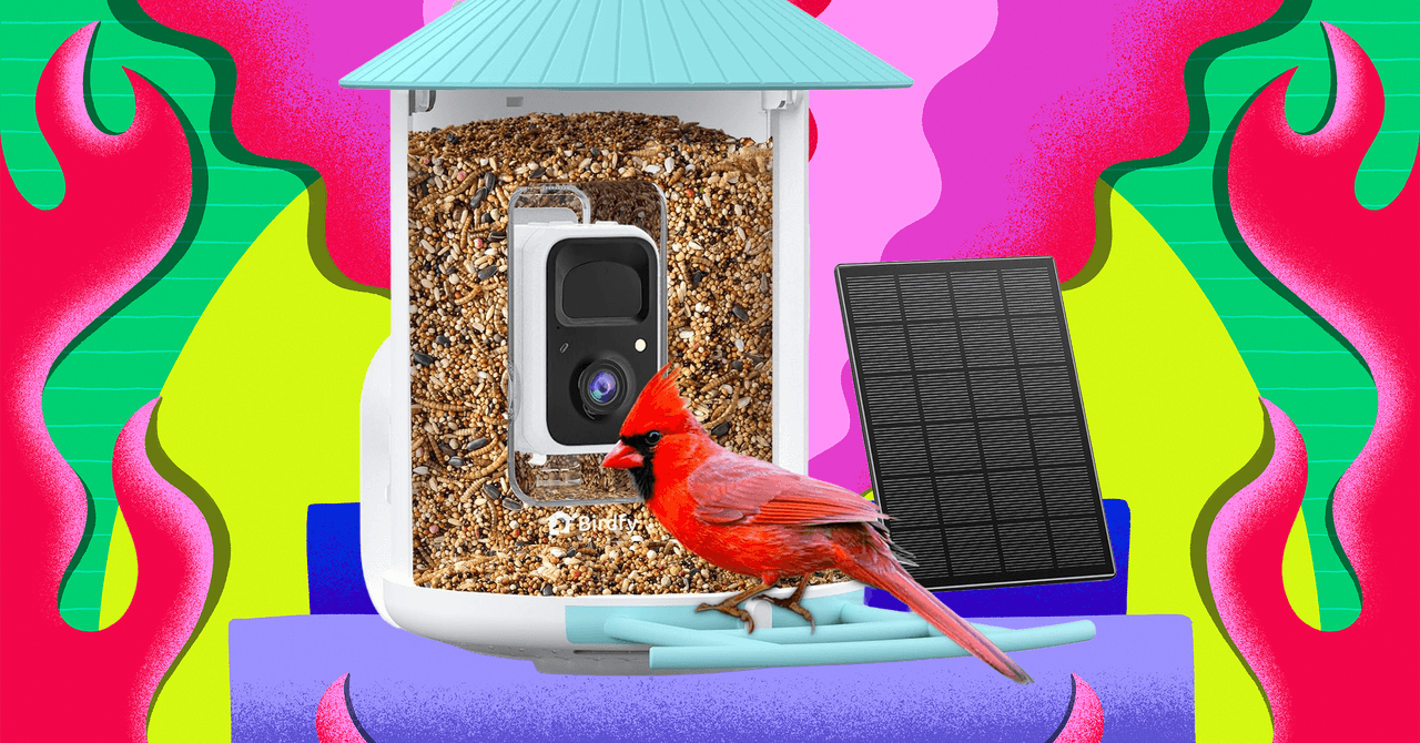 Amazon Is Having a Huge Black Friday Sale on Birdfy Smart Bird Feeders (2025)