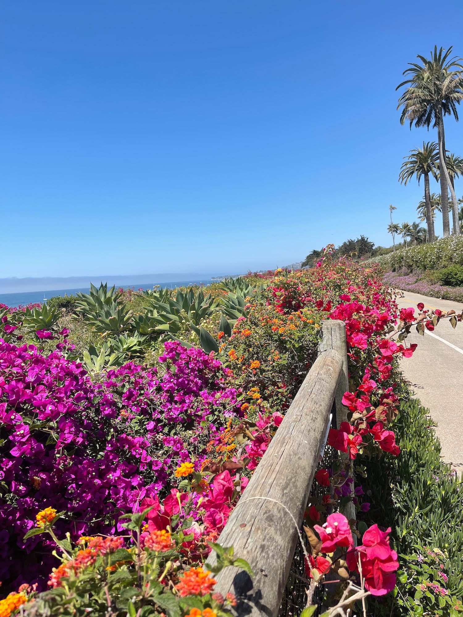 Where to Stay, Eat, & Shop