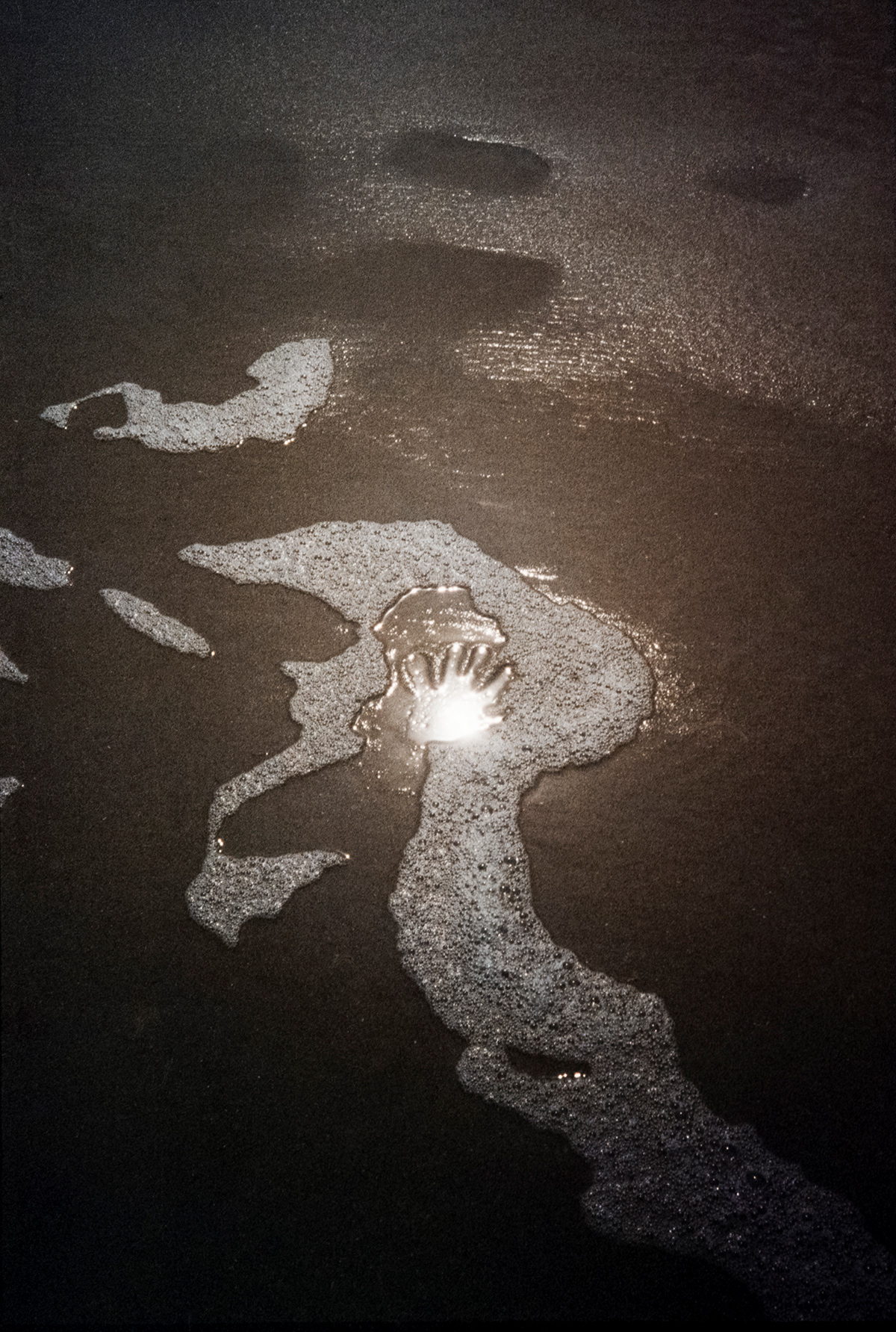 “We Keep Swimming, Until We All Reach Home” by Photographer Jillian Guyette