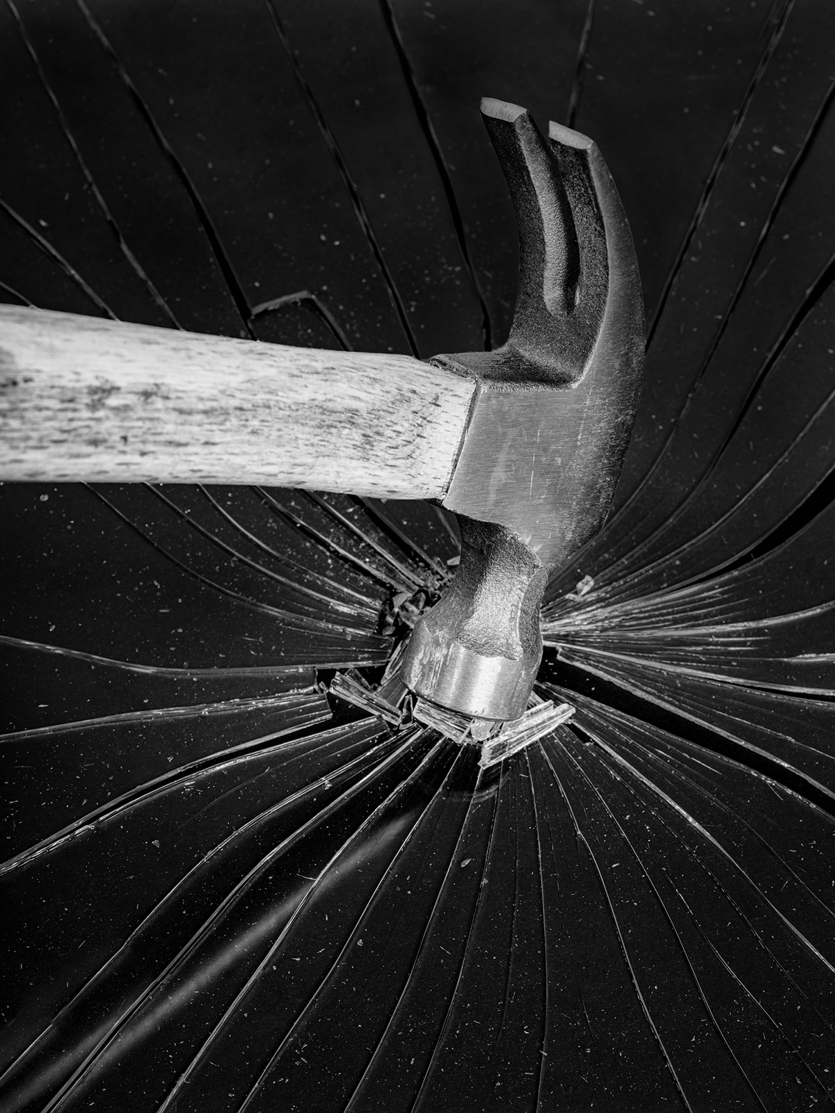 “try, take time – take time, try” by Photographer Jesse Ly