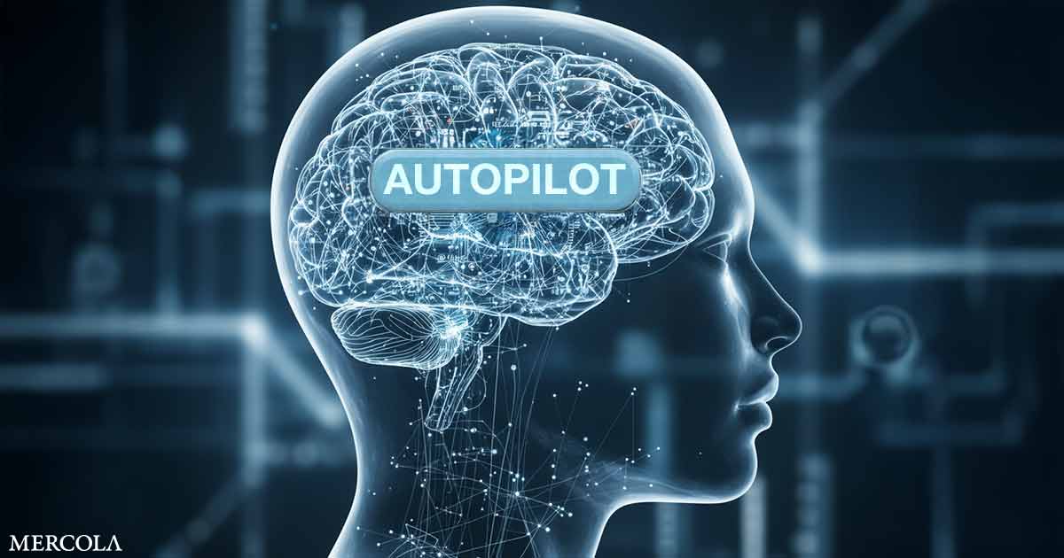 How Much of Your Life Is Running on Autopilot?