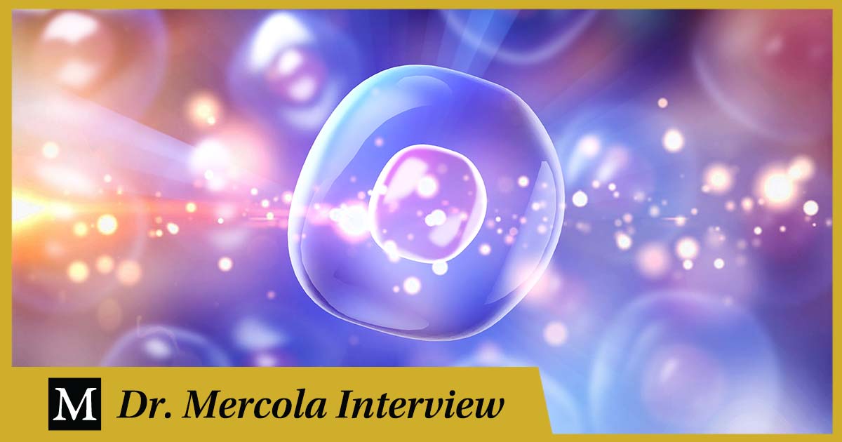 Kate Deering Interview on Bioenergetics