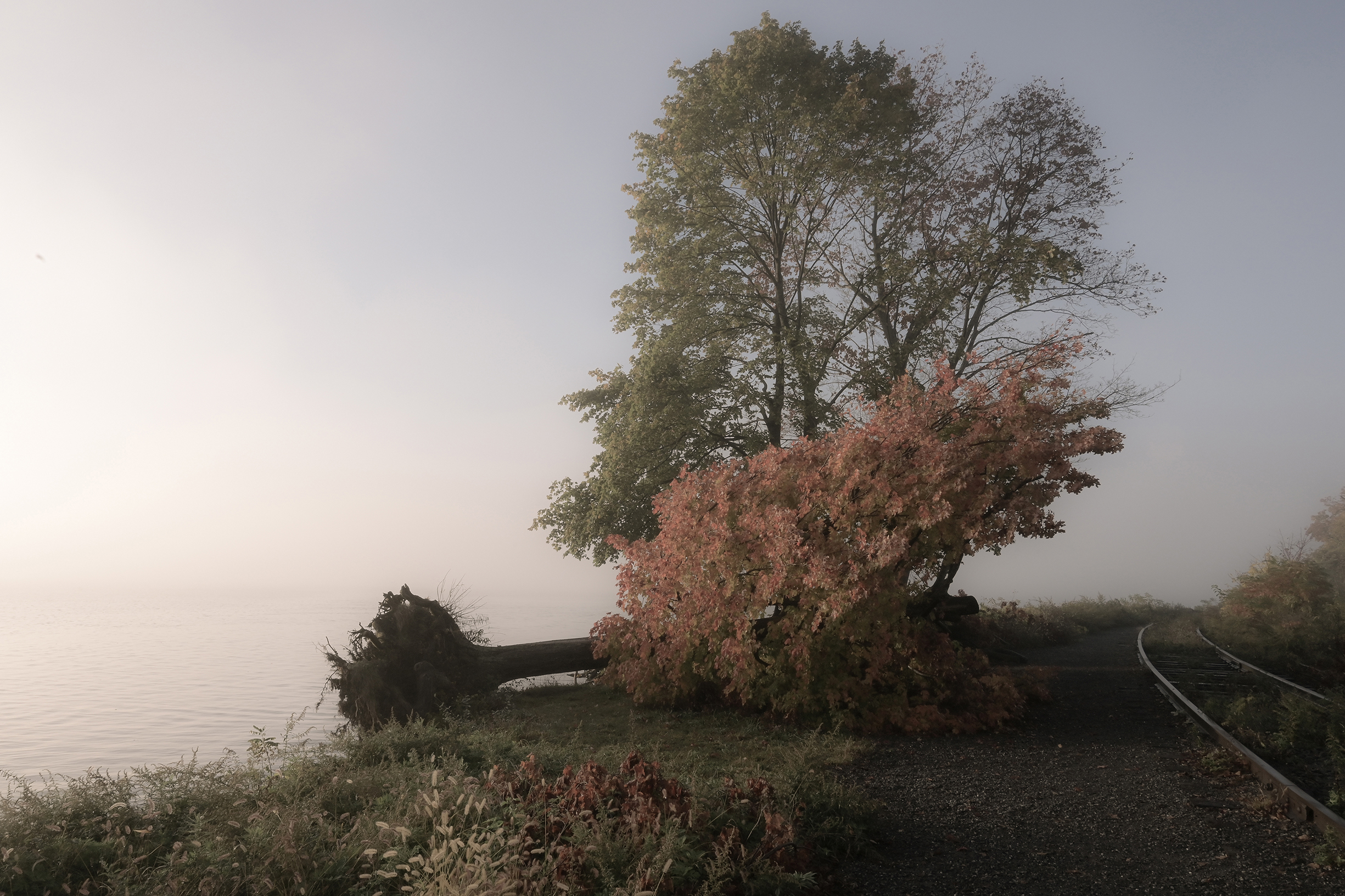 10 Exhibitions to See in Upstate New York, November 2025