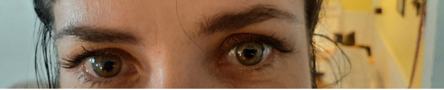 Fights! by Scott McClanahan