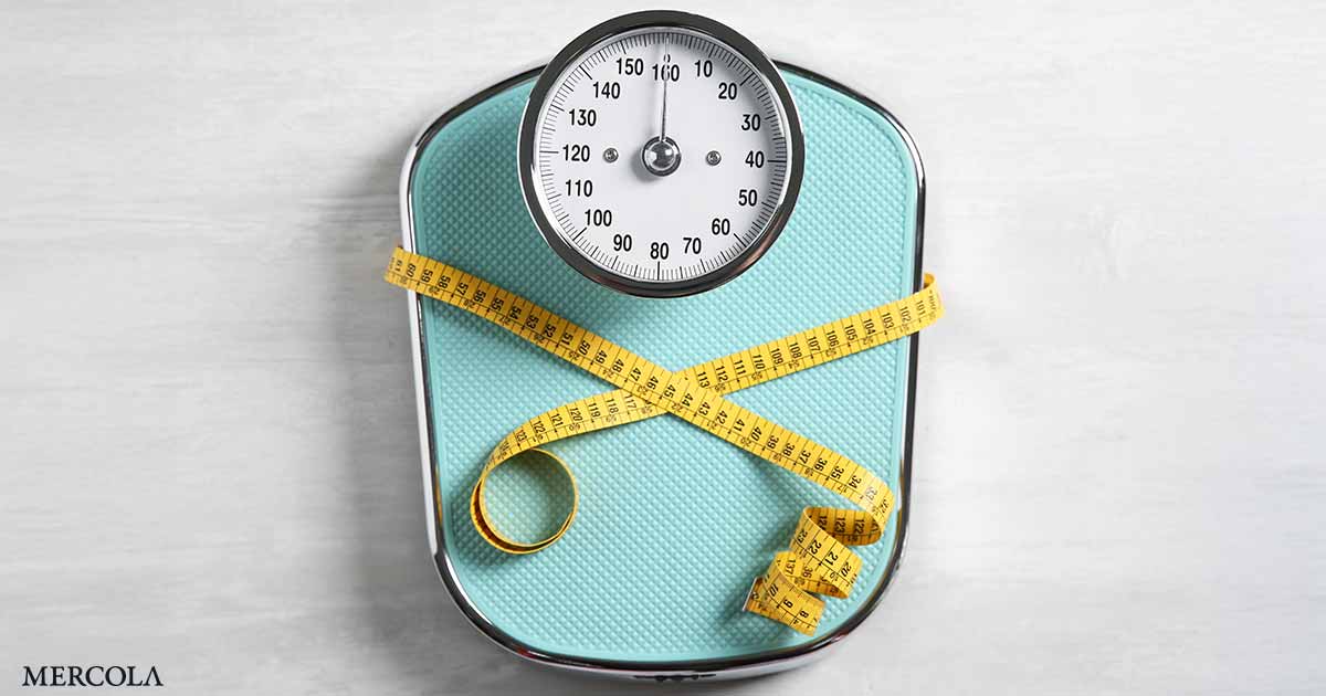 Obesity Causes and Solutions