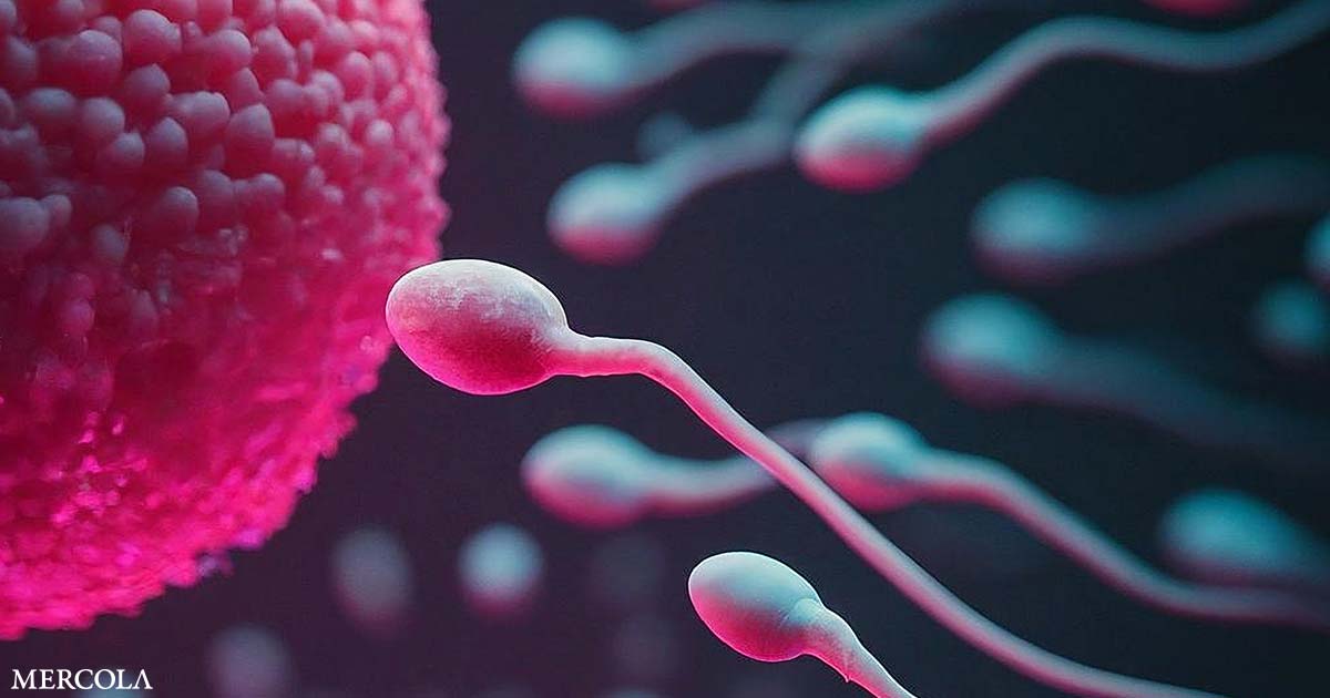 Everyday Pesticide Exposure Linked to Reduced Sperm Quality in Healthy Men