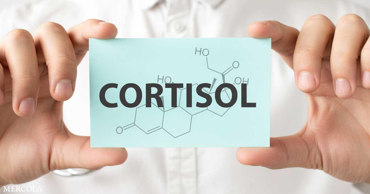 The Surprising Role of Cortisol in Alzheimer’s