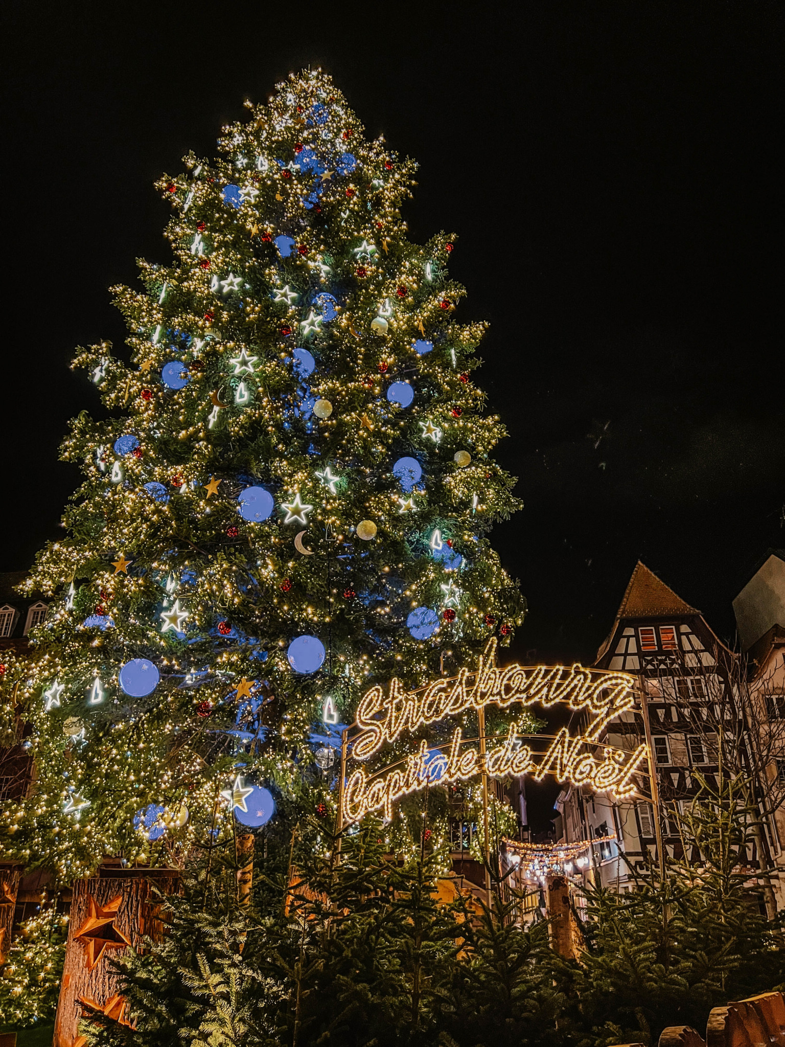 Best Places in the Alsace for Christmas Markets Plus Alsace, France Christmas Itinerary