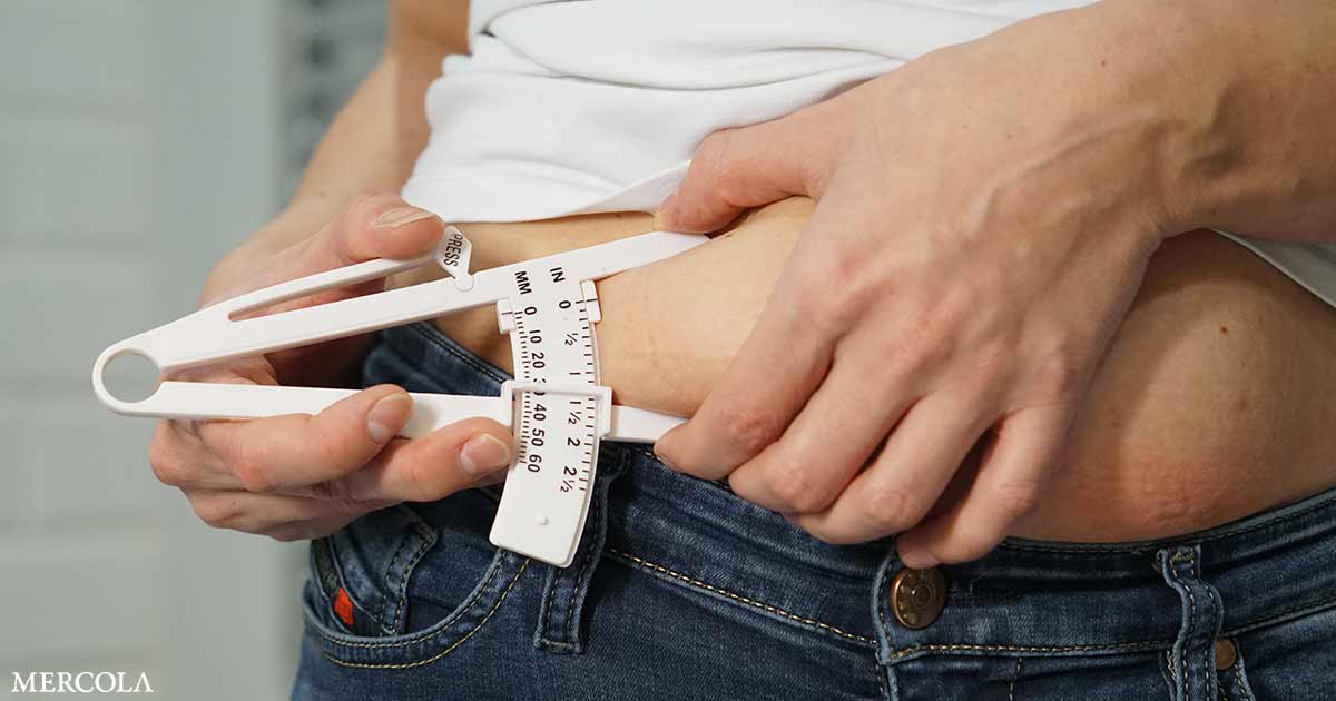 Visceral Fat Activity Drives Aggressive Endometrial Cancer