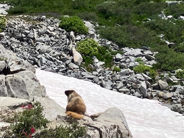 Links 12/13/2025 | naked capitalism