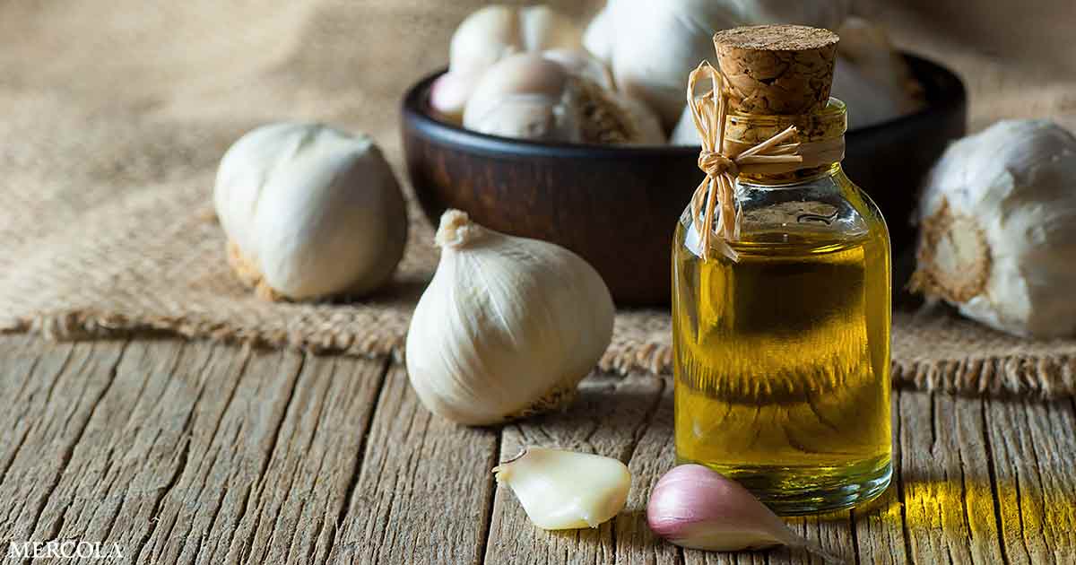 Aged Garlic Extract for Memory and Acute Stress Support — Here's What the Research Says
