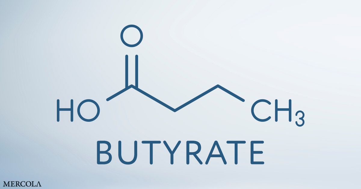 Butyrate — The Gut-Brain Axis Connector That Influences Mood and Cognition