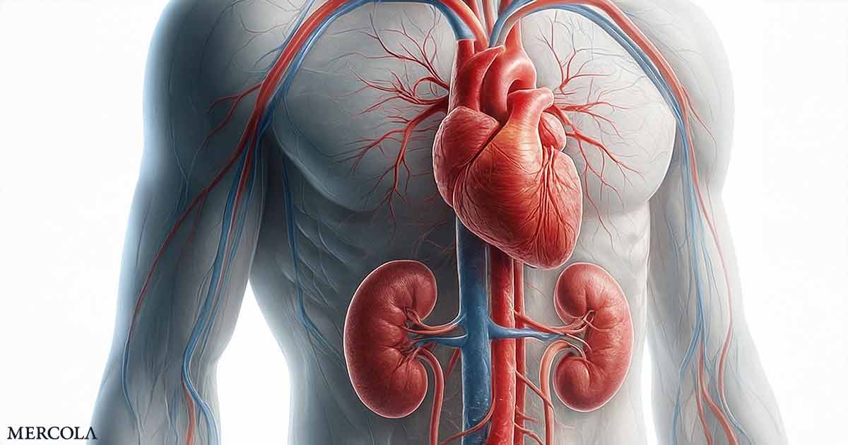 This Unknown Deadly Health Syndrome Affects Nearly 90% of US Adults