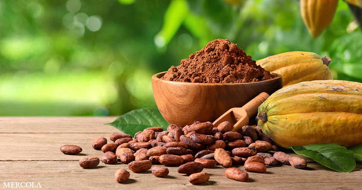 Cocoa Extract Supplement Reduces Key Marker of Inflammation and Aging, Study Finds