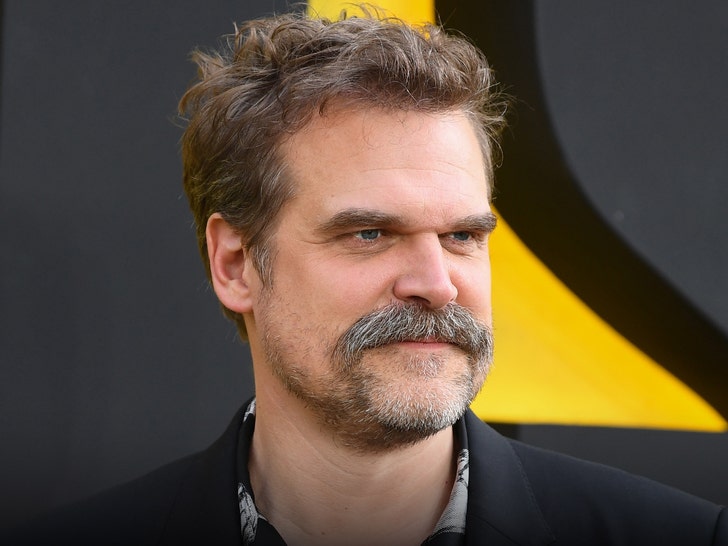 David Harbour Takes a Guy’s Hat in Bizarre Bar Incident