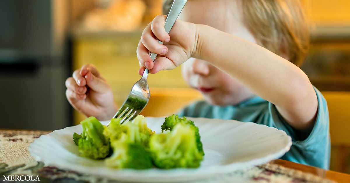 Limiting Sugar Early in Life Builds Stronger Hearts and Healthier Futures