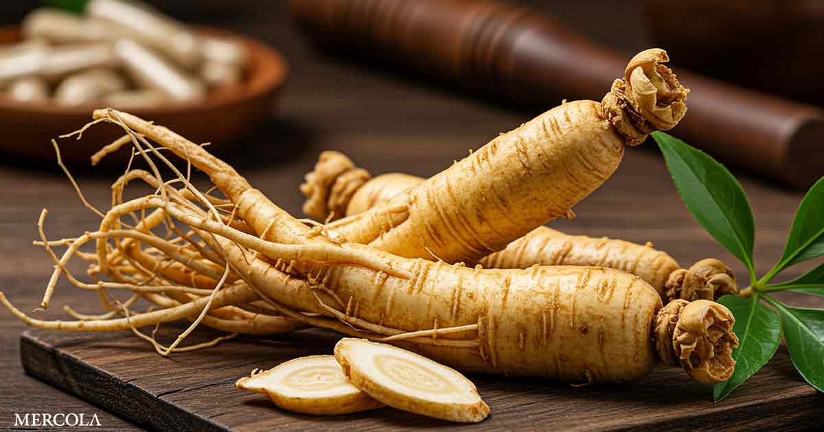 The Immunomodulatory and Therapeutic Effects of Ginseng