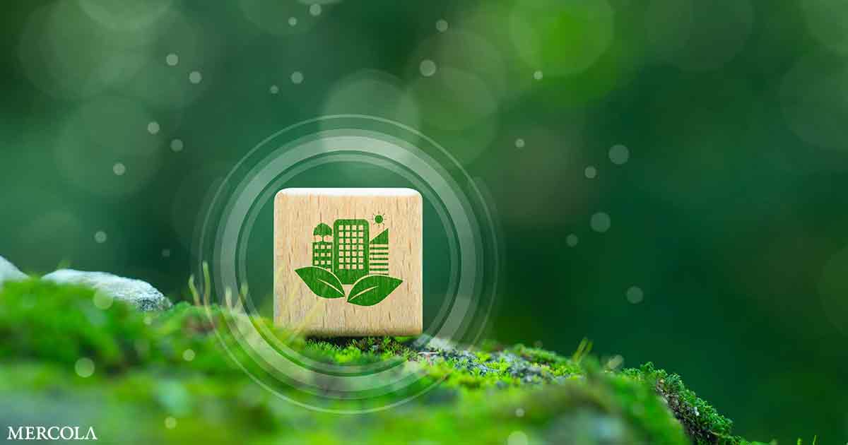 Greener Cities Linked to Better Mental Health Outcomes