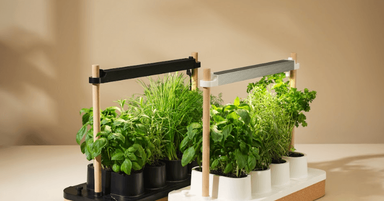 The Auk Mini Herb Garden Is Still Up to $30 Off (2025)