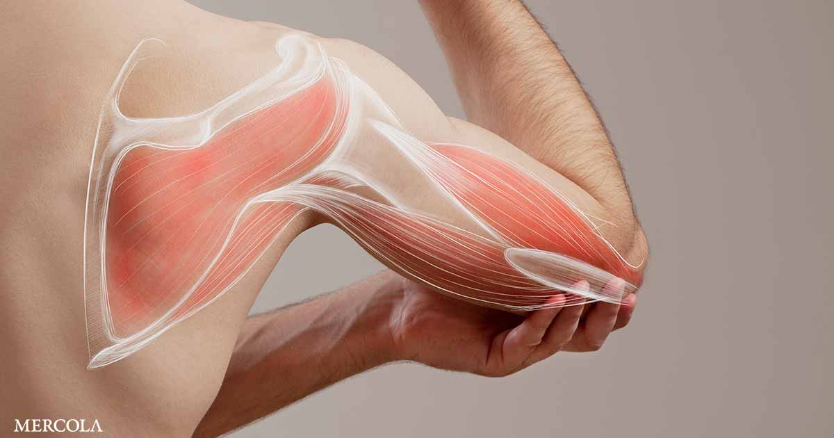 Low Metabolism and NAD+ Deficiency Implicated in Wasting Syndrome