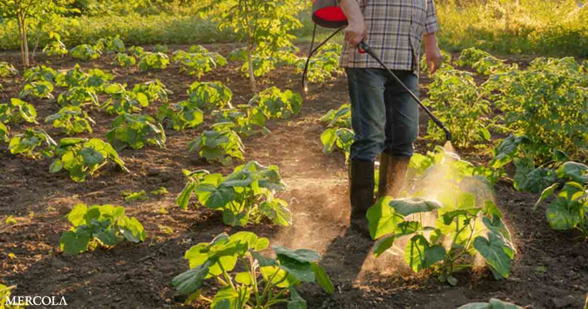 Your Gut Bacteria Is Under Attack by Pesticides and Everyday Chemical Pollutants