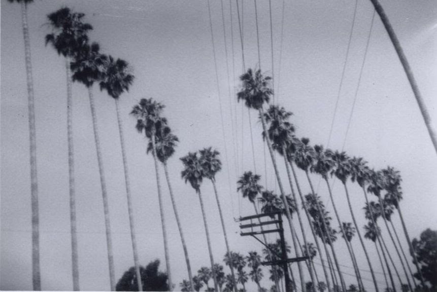 Eve Babitz’s Photographs