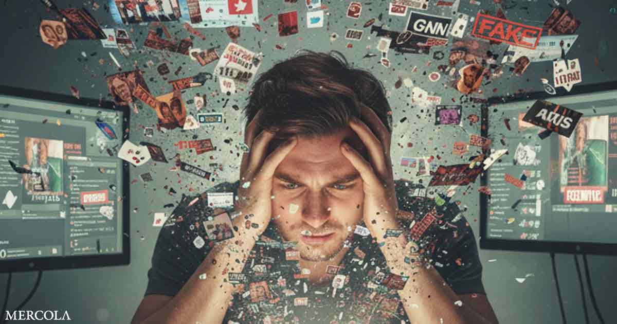 Seeing Truth in the Age of Information Overload